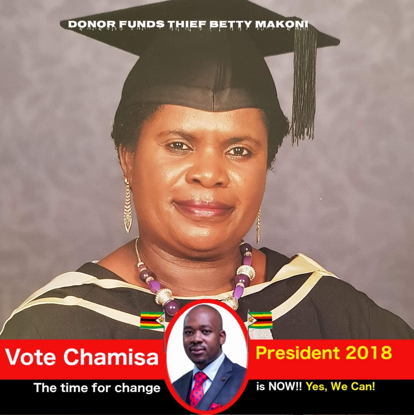 MDC Alliance bootlickers and thieving Betty Hazviperi Makoni and ...