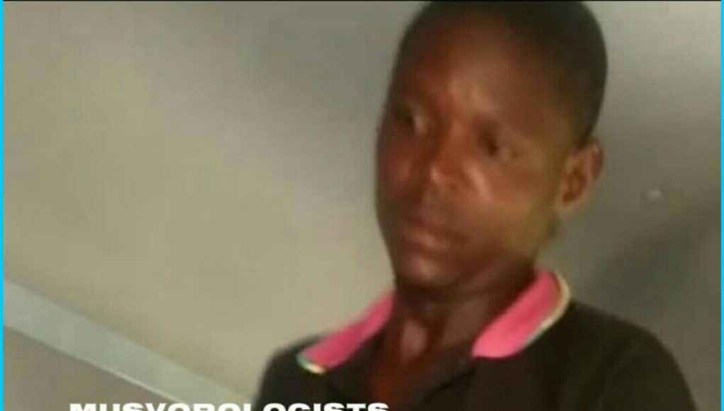Video : Dhafu Musvorologist at it - Musvo Zimbabwe